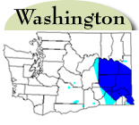 Washington Distribution