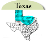 Texas Distribution